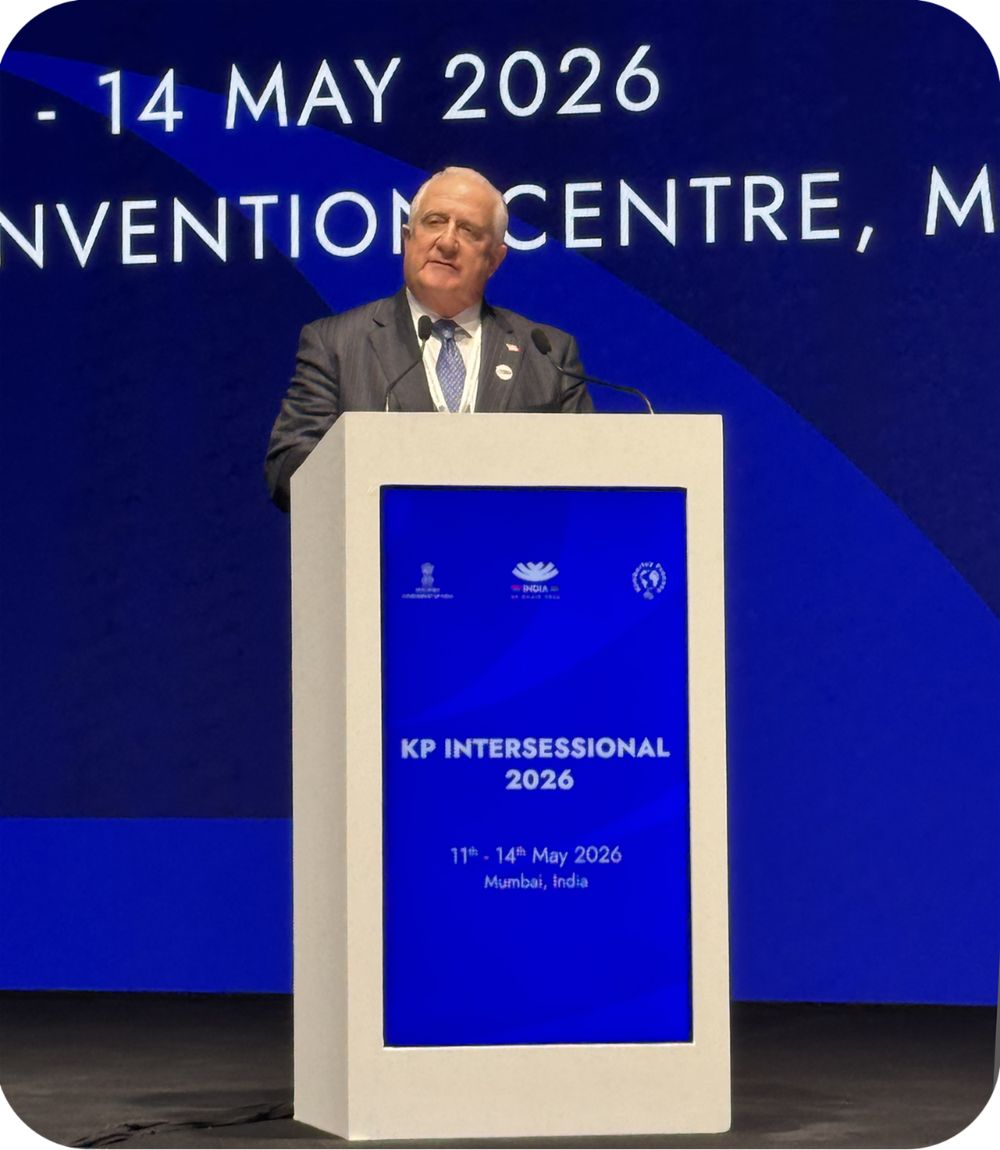 Diamond industry must unite behind natural stones, says World Diamond Council president
