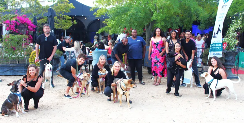 Fundraising fashion show unites models and rescue dogs for Tears Animal Rescue