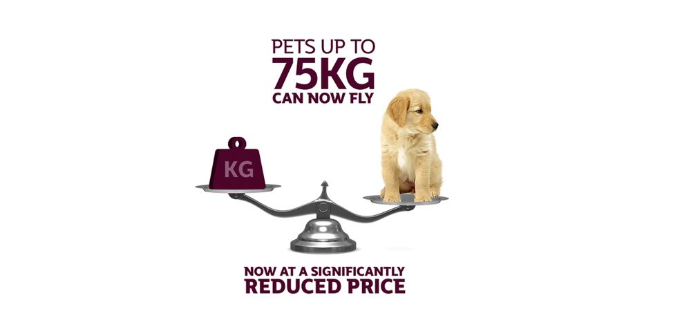 Qatar Airways reduces prices, doubles weight allowance for transporting ...