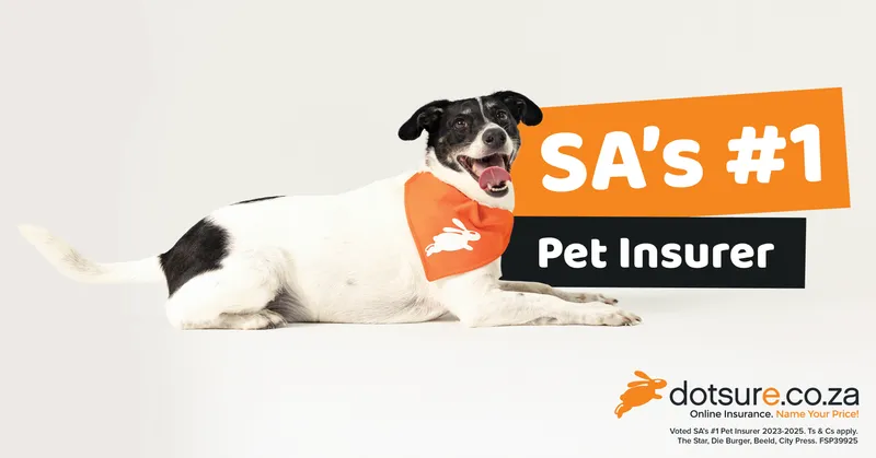 dotsure. co. za: The pet insurer that cares the most