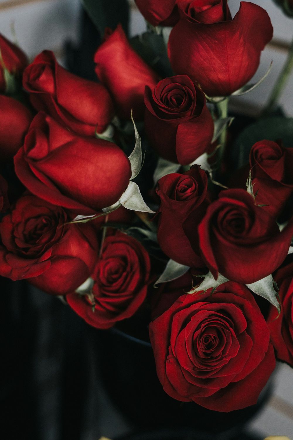 what-type-of-date-night-should-you-book-for-valentine-s-day