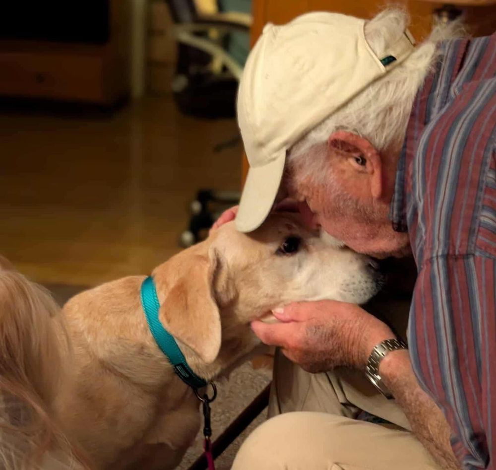 Man, 93, reunites with lost dog after rescuers lure her with his socks