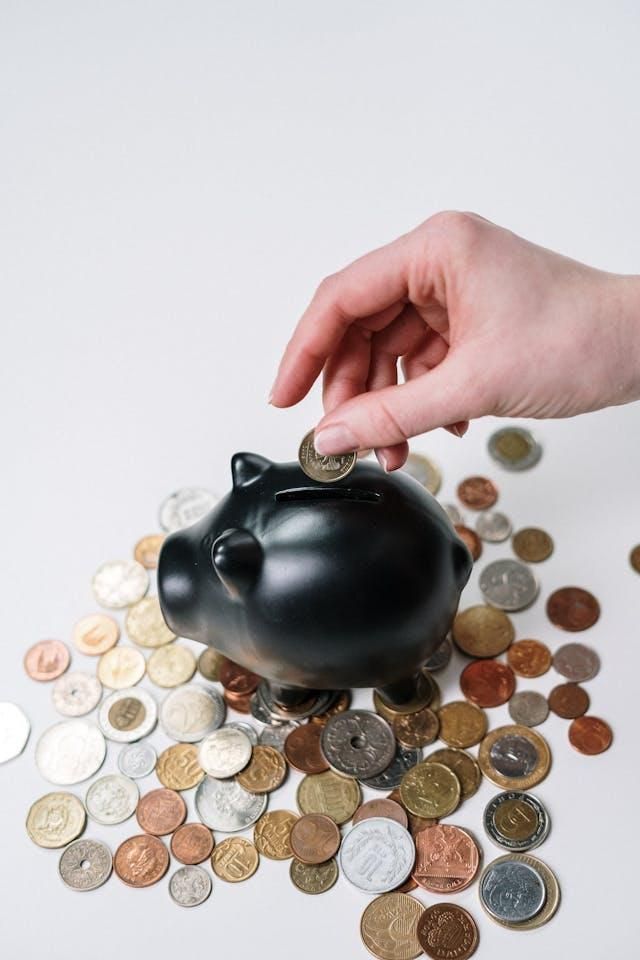Is your budget bleeding? 5 things the SA middle class is dropping to save ...