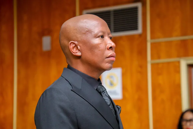 Fuelling a Revolution: The inherent risk of imprisoning Julius Malema