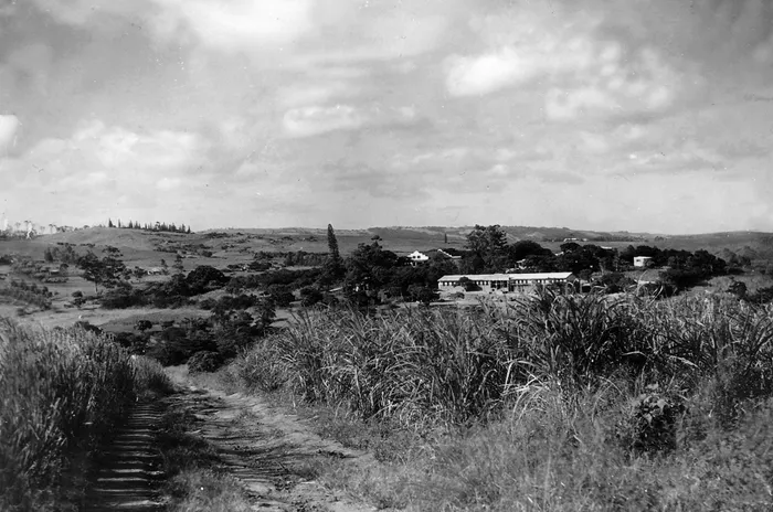 Phoenix Settlement, 1900s. 