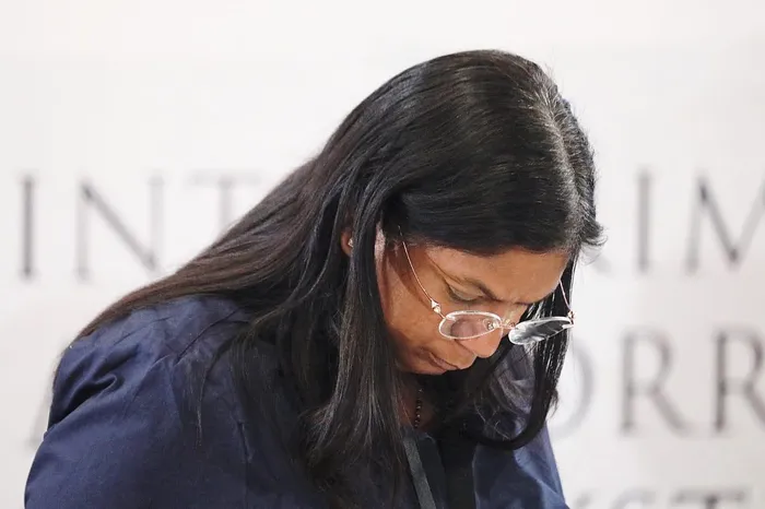 Who was driving this probe into the PKTT": Andrea Johnson grilled over IDAC  investigation | Madlanga Commission