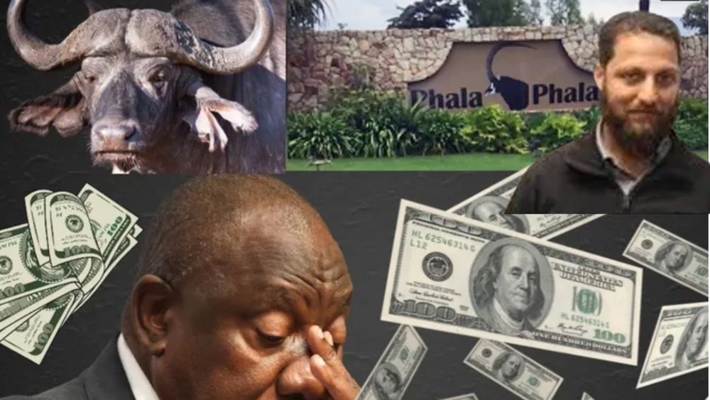 'Phala Phala double standards exposed': Man convicted for undeclared US ...