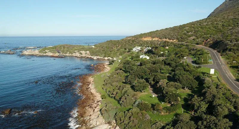 Residents voice their vision for Miller’s Point's future