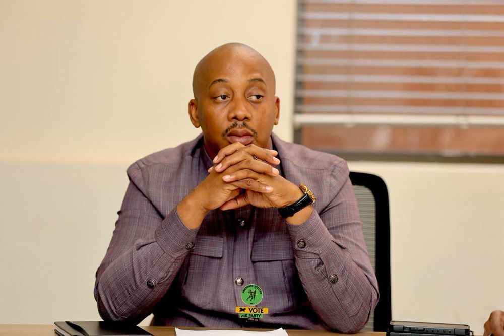 Ipsos poll puts MK Party on 55% in eThekwini ahead of local elections - IOL
