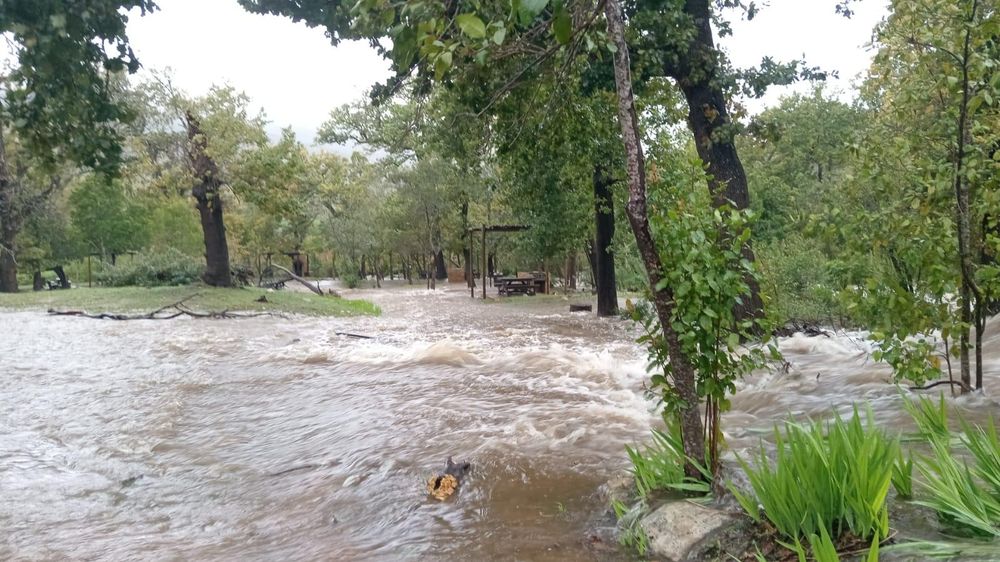 Flood damage adds new pressure on South Africa’s agriculture sector