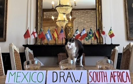 Watch: can Nimbus the King outsmart fans with his prediction for Mexico vs South Africa?