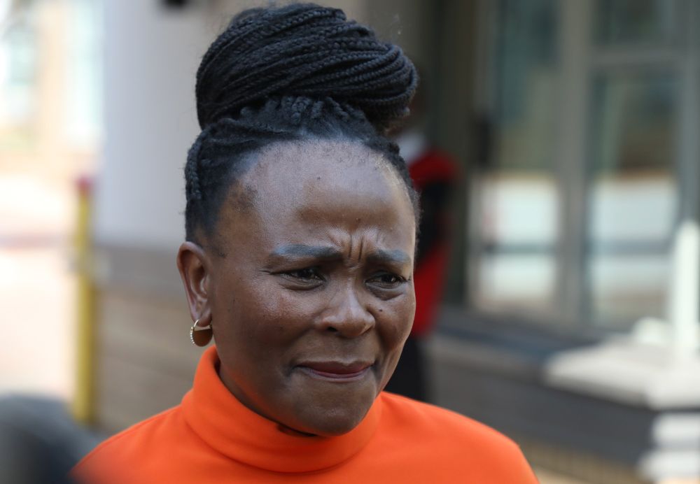 Delay in Mkhwebane application