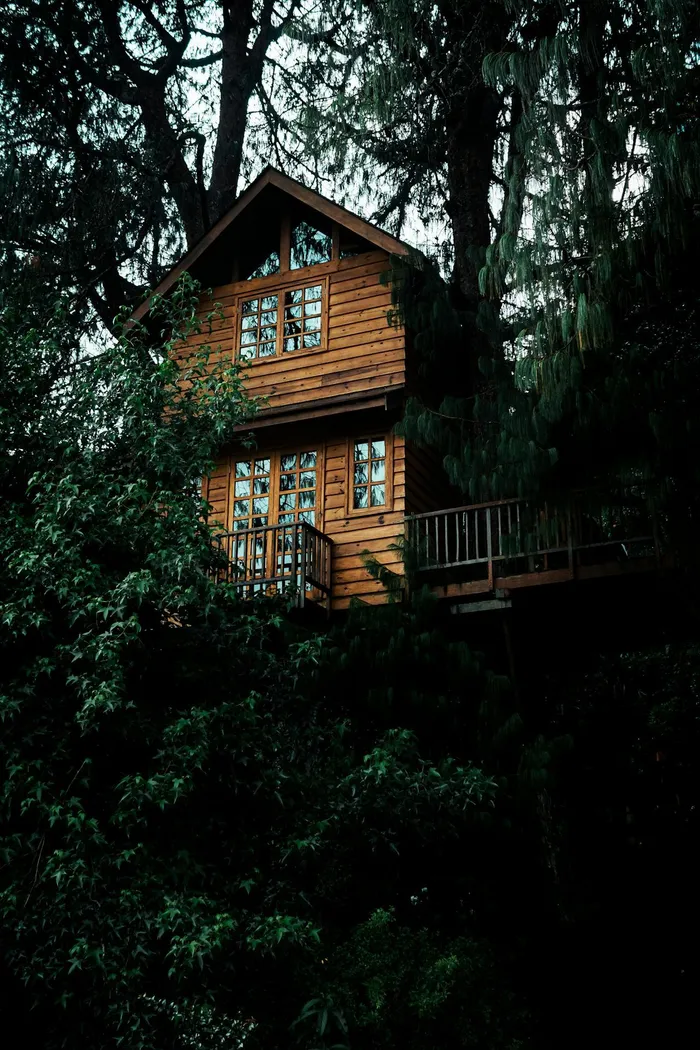 Booking a cabin hidden in an ancient forest is the absolute best way to experience the quiet magic of a South African winter.