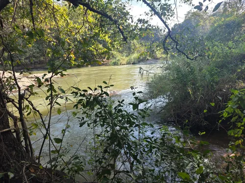 Body of missing 21-year-old recovered after car plunged into Crocodile River in Mpumalanga