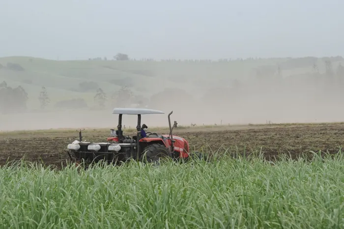 Agbiz believes that the focus should be on the Land Reform and Agricultural Development Agency to drive land redistribution. Picture: Karen Sandison (ANA)