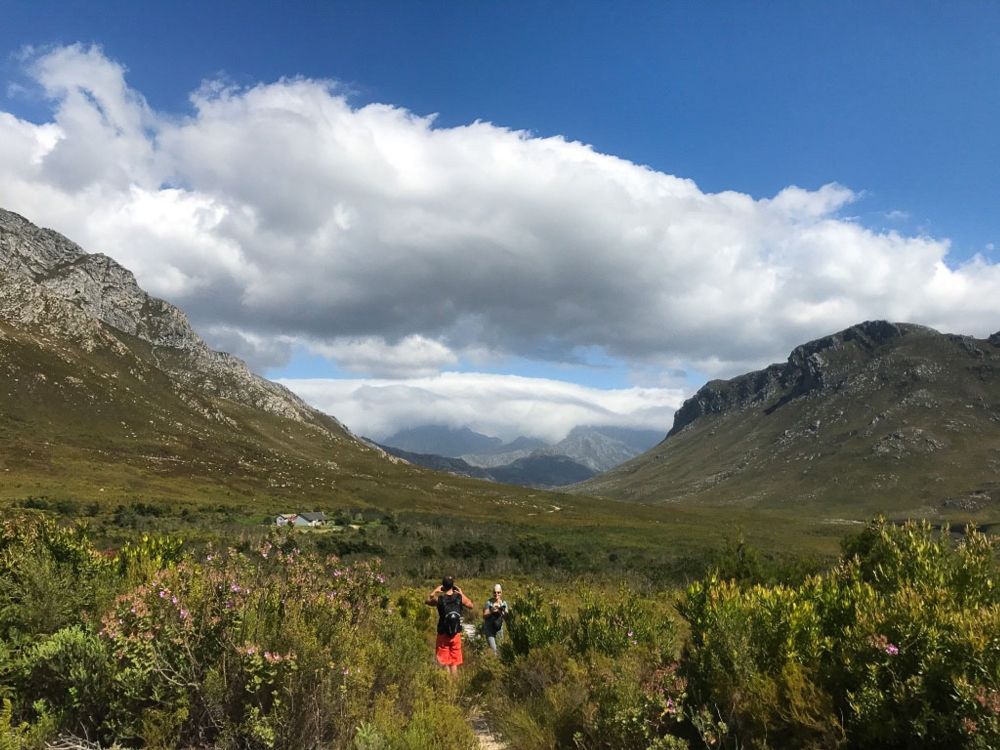 Hermanus is more than just whales and wine