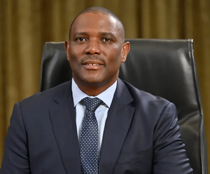 SARS Commissioner Dr Johnstone Makhubu also said that travellers who declare their vehicles online will benefit from faster processing at the border.