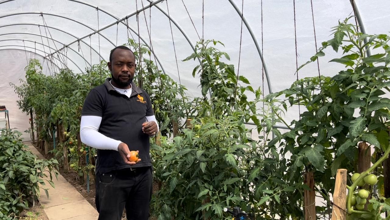 Hunger vs health: how Durban children' s homes innovate despite frozen subsidies