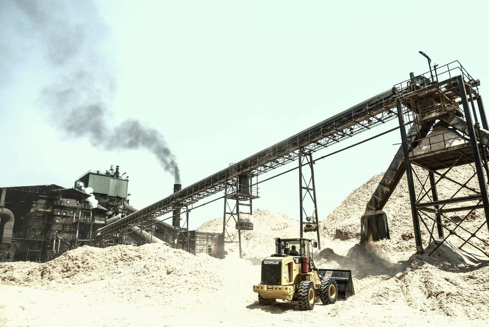 RCL Foods hit hard as cheap imports flow in