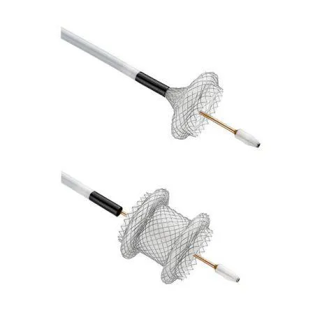 The NCC is recalling certain AXIOS™ stent and electrocautery enhanced delivery systems. 