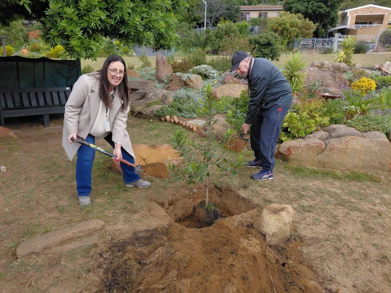Spoon Park celebrates Arbor Month with a new Milkwood tree