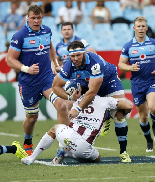 Bulls must sharpen key areas ahead of Cardiff URC test in Pretoria