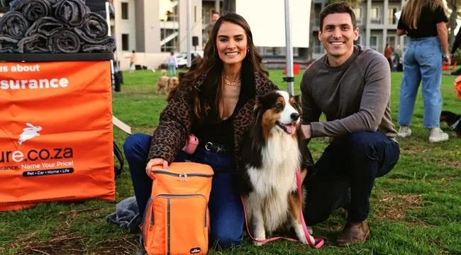 Happy pets and even happier pet parents gathered for an unforgettable movie night experience.  