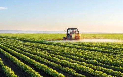 Why white farmers still dominate land ownership in South Africa
