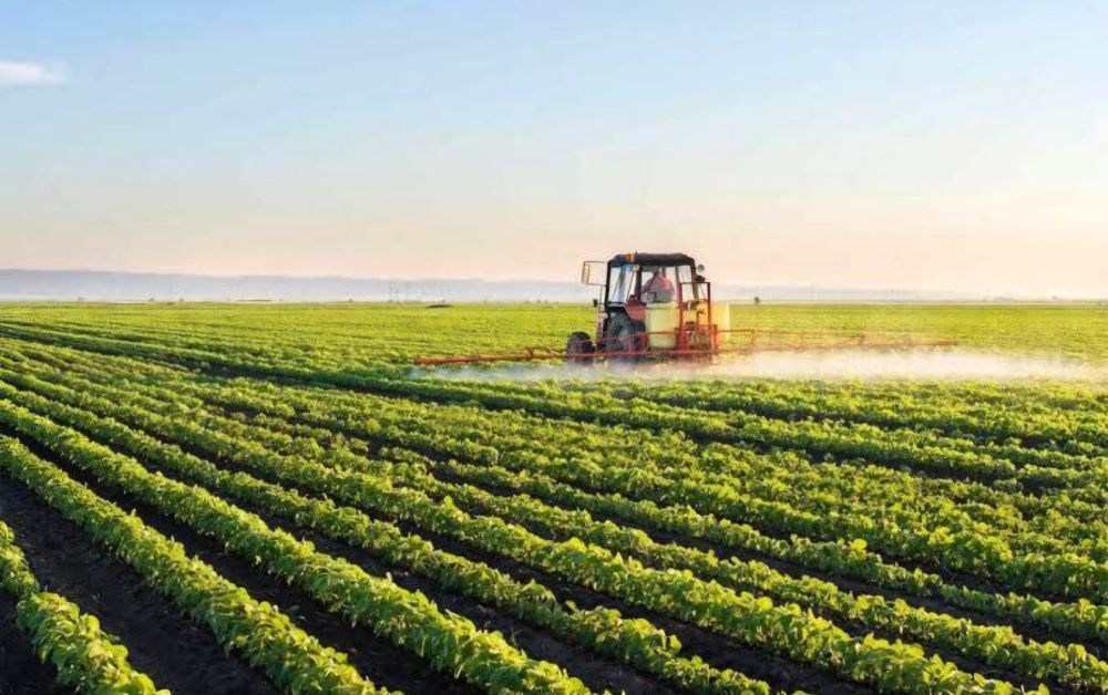 Africa’s agricultural future depends on using global research better — not reinventing it