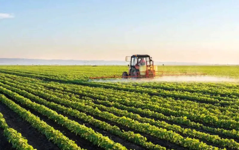 Farmer brain drain could be worse than export loss for SA agriculture