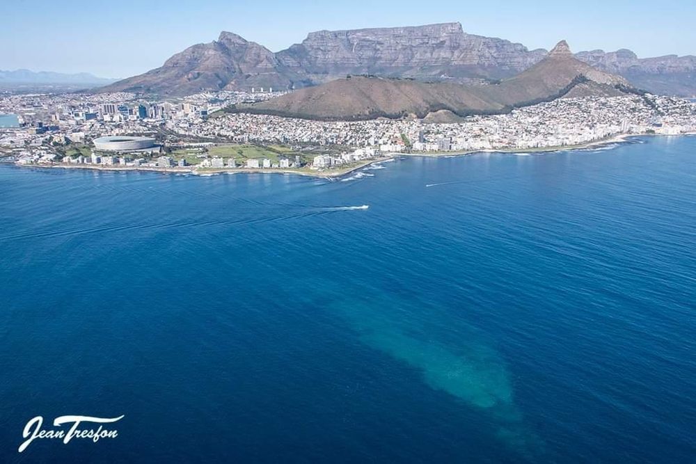 Cape Town’s Blue Flag beaches face serious water quality challenges