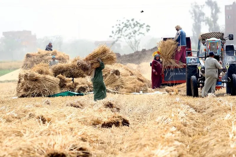 Farmers brace for pressure as interest rate hike collides with rising fuel and food costs