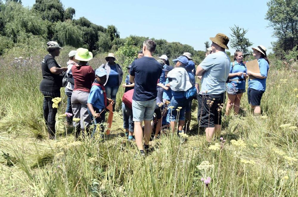 Children discover the wonders of wetlands on World Wetlands Day