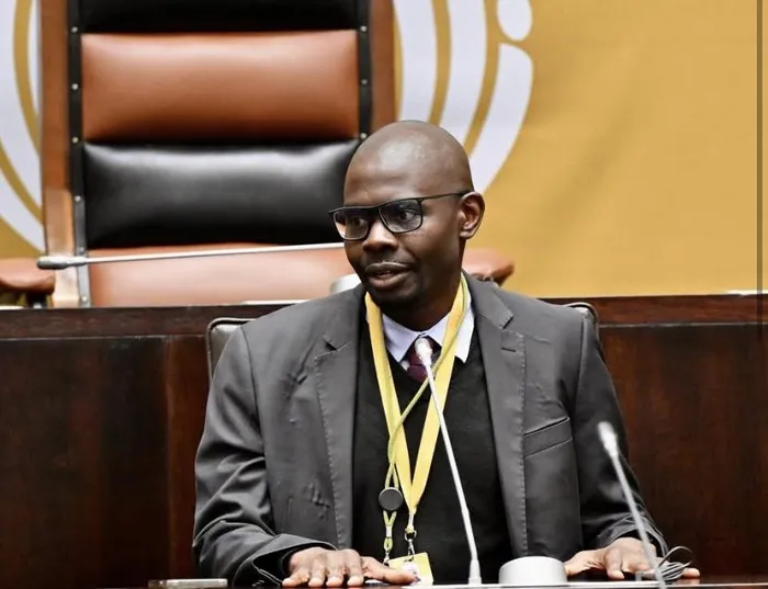 Newly elected impeachment committee chair Makashule Gana says the committee will do its work fairly as Parliament reviews the Phala Phala allegations against President Cyril Ramaphosa.
