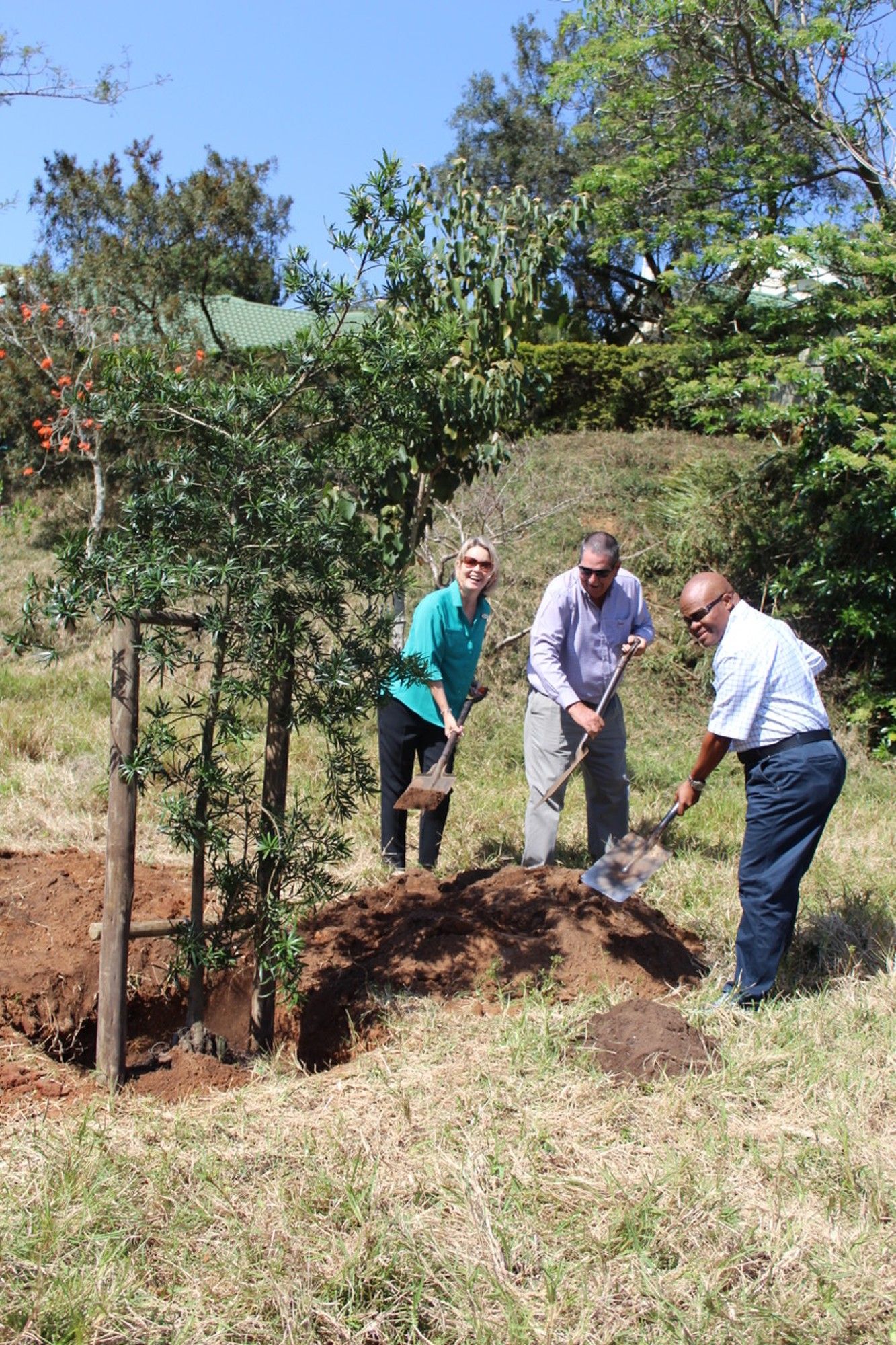 Arbor week: indigenous trees for Mt Edgecombe