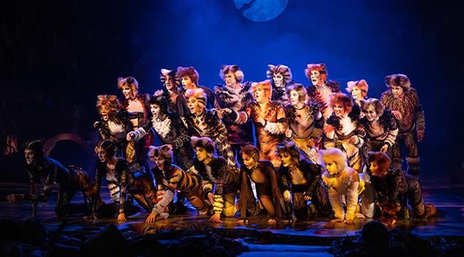 Stellar cast announced for CATS the musical, opening in December 2025 at Artscape