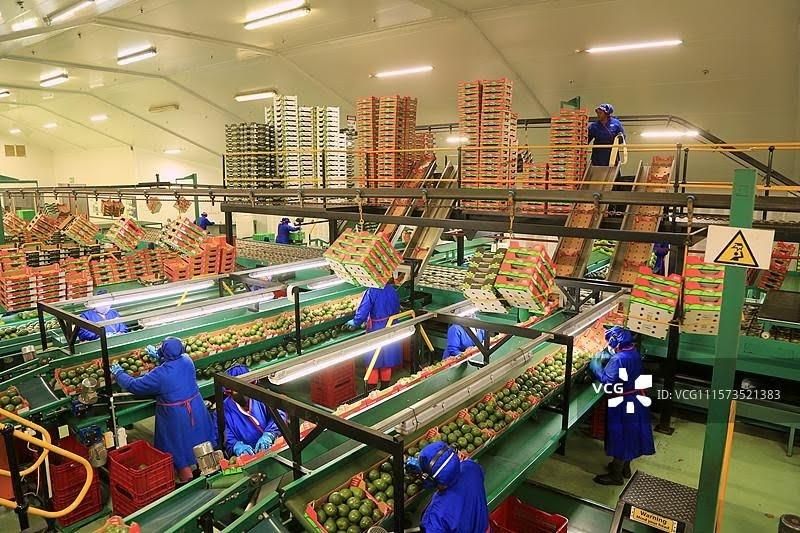 The opportunities of China's zero-tariff treatment to Africa