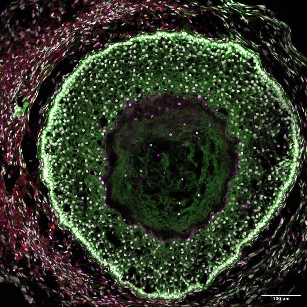 How innovation is changing the face of IVF and women's health