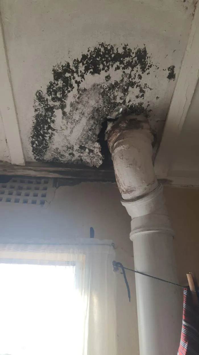 Sally Roman said they are struggling with mould caused by ongoing water leaks.