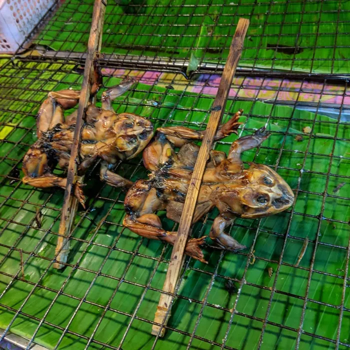 Frog on a stick. Picture: Instagram (Tasha Harrington)