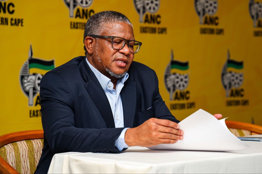 ANC mobilises in Eastern Cape before elections - IOL