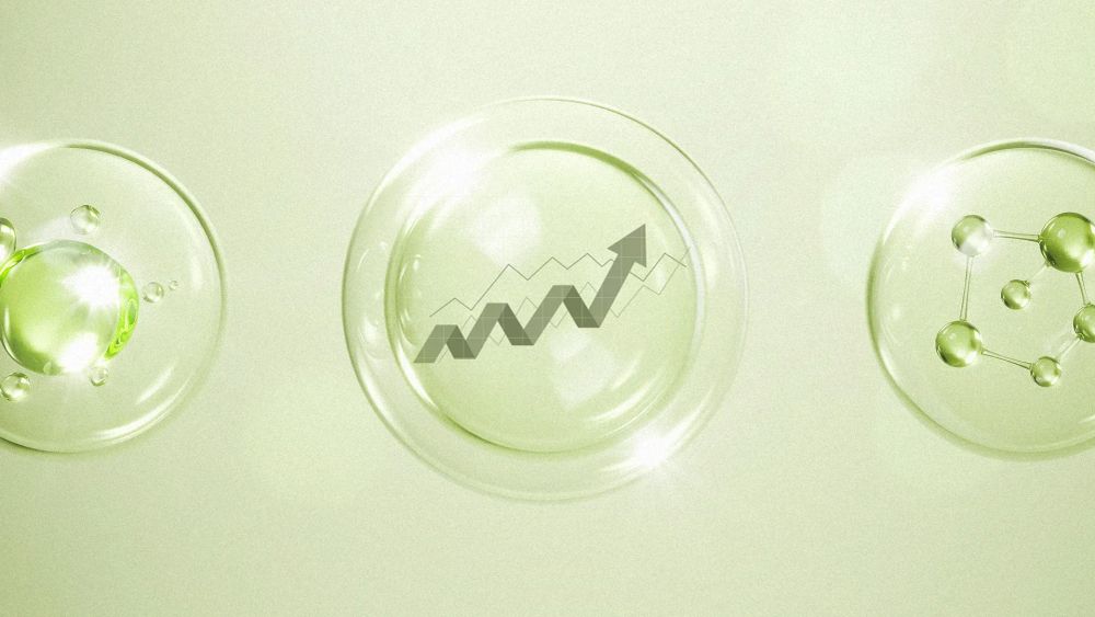 Understanding the AI bubble: How to thrive amidst uncertainty