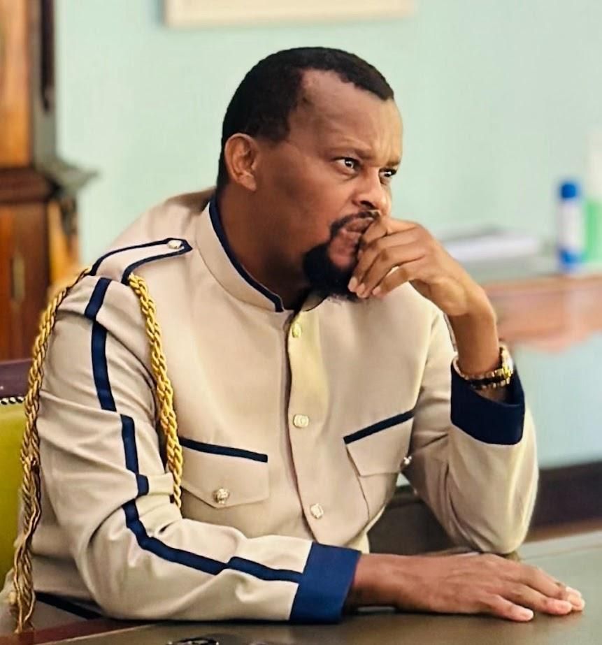 Strengthening the Zulu Kingdom: Prince Africa Zulu's new role as deputy ...