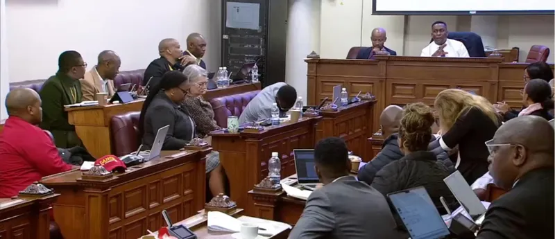 Challenges facing NSFAS: higher education and training committee members voice concerns