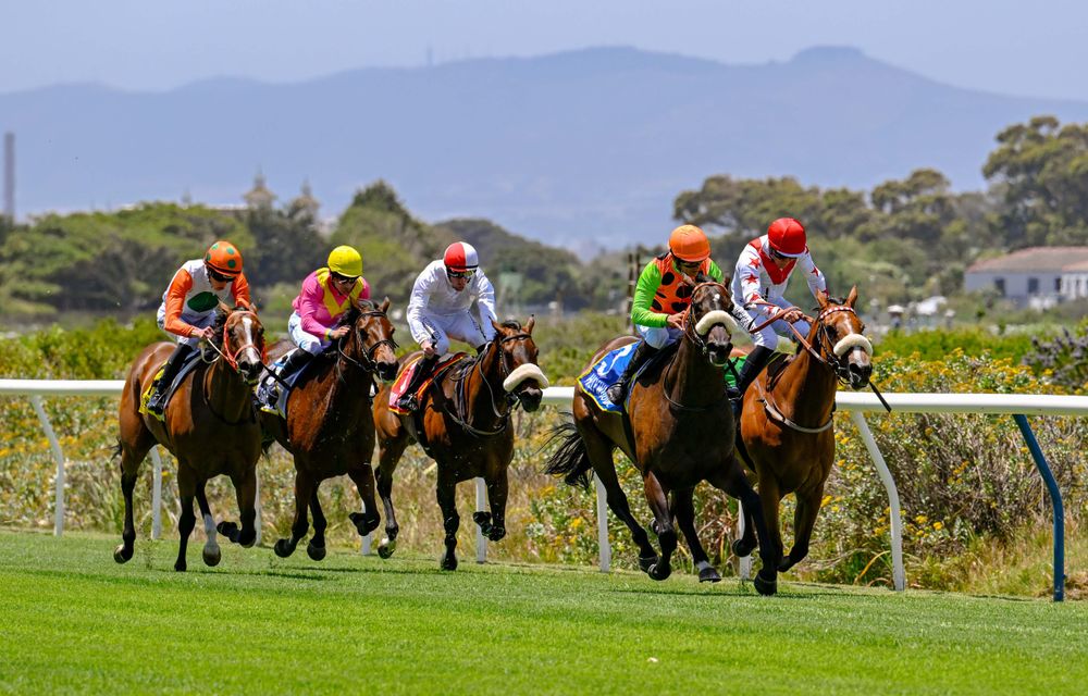 Cape Town's summer horse racing season kicks off with the Cape Punters Cup
