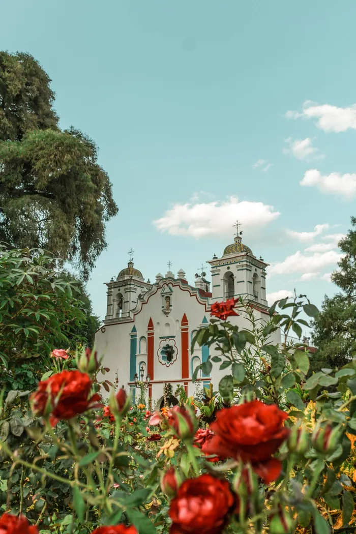 Picture: Fer Martinez Gonzalez/Pexels