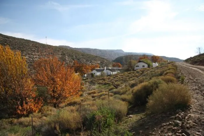 Cederberg rocks our world