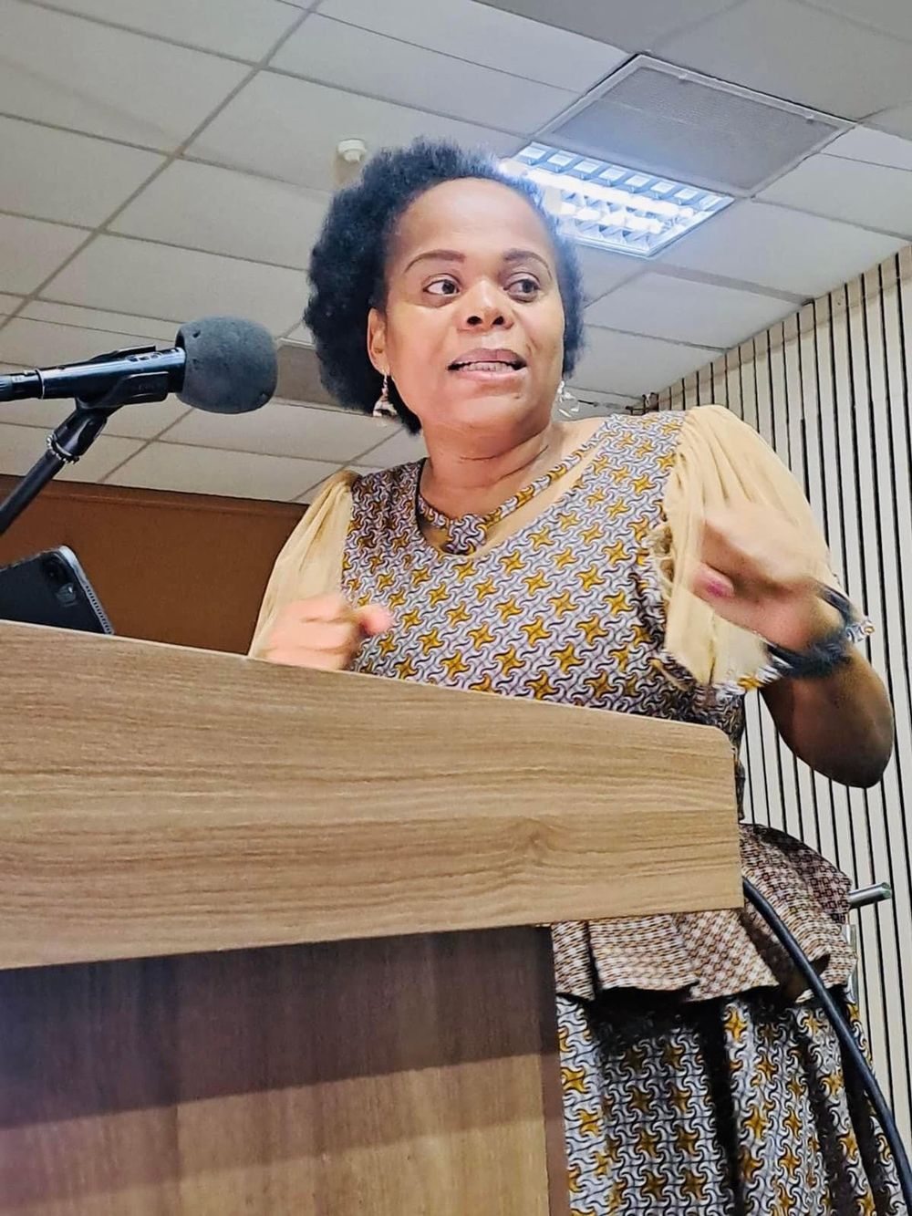 'Stop renting your backyards': Premier blames South Africans for ...