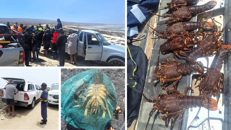 Police cast the net wide in Namakwa coastal crime crackdown