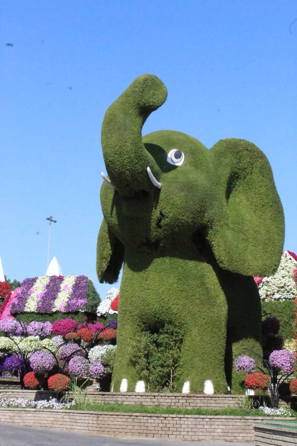 Dubai Miracle Garden